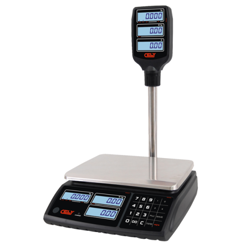 dibal_pi-100t_rs.png