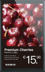 Dahua ESL 10.1” single side display L101-01