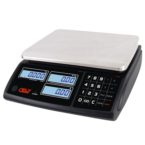 dibal_pi-100s_rs.png